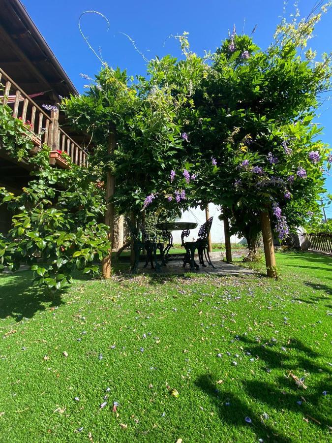 布拉干萨 Casa Do Pomar旅馆 外观 照片