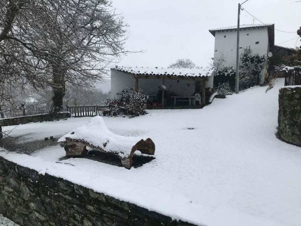布拉干萨 Casa Do Pomar旅馆 外观 照片